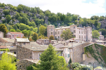 Livraison express de sapin de Noël en Ardèche