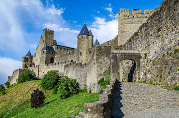 Sapin de Noël livré à Carcassonne et dans tout le Aude