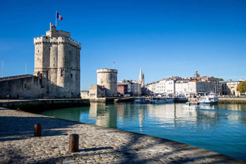 Sapin de Noël livré à La Rochelle et dans tout le Charente-Maritime