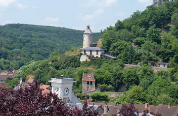 Livraison gratuite de sapin Nordmann dans le Creuse