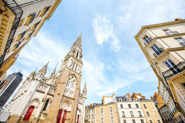 Sapin de Noël livré à Nantes et dans tout la Loire-Atlantique