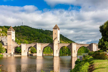 Sapin fraîchement coupé livré à Cahors et dans le Lot