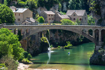 Livraison gratuite de sapin Nordmann en Lozère