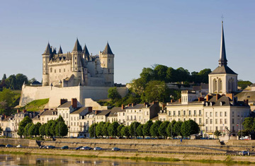 Sapin fraîchement coupé livré à Angers et dans le Maine-et-Loire