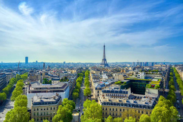 Livraison gratuite de sapin de Noël à Paris intra-muros