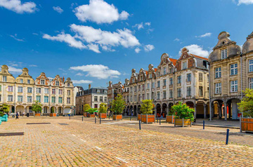 Sapin fraîchement coupé livré à Calais et dans le Pas-de-Calais