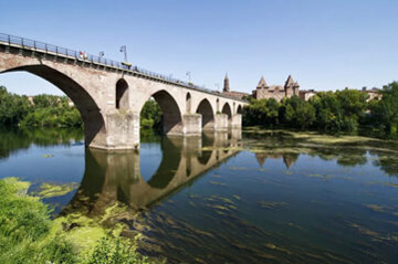 Livraison gratuite de sapin Nordmann dans le Tarn-et-Garonne