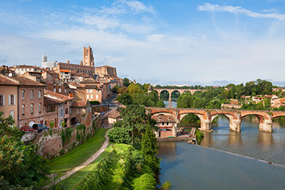 Sapin de Noël livré à Albi et dans tout le Tarn