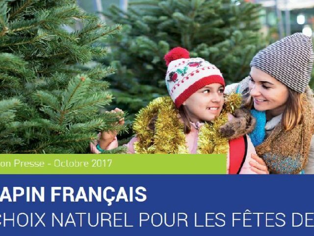 Le marché français du sapin de noël 2021