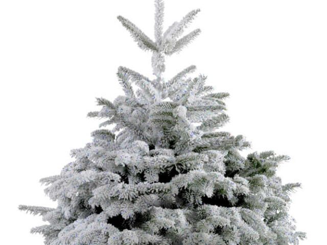 Un sapin floqué pour Noël ?