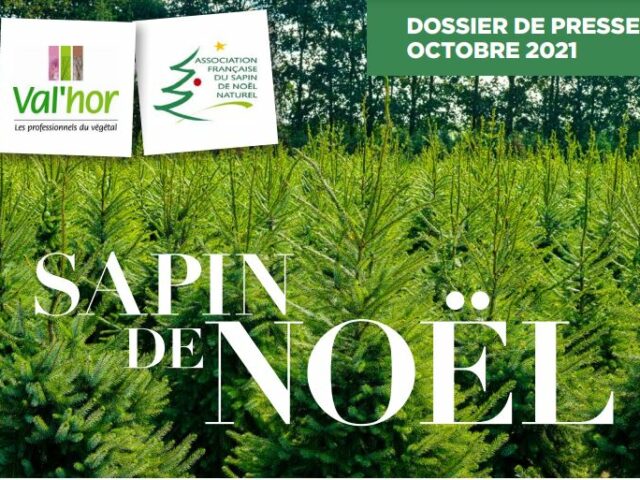 Le sapin naturel français, une tradition essentielle à la magie de Noël