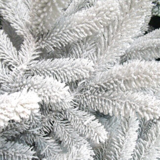 BRANCHES NORDMANN GIVREES