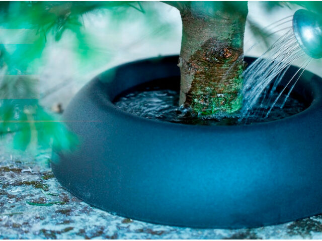 La Réserve à eau Frescher Tree®