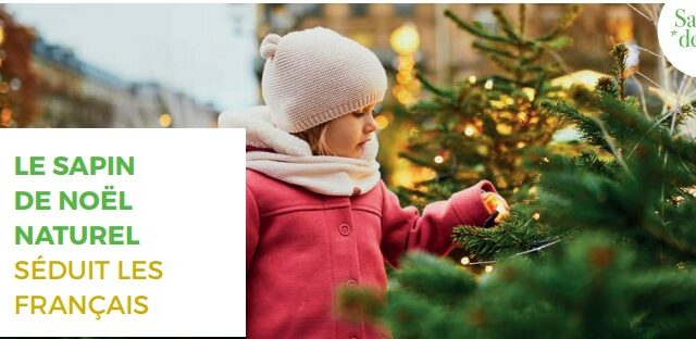 Marché du Sapin de Noël – Chiffres clés 2024