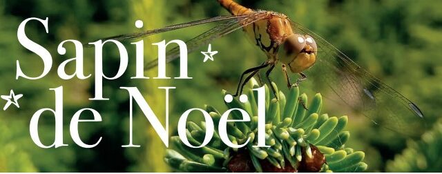 Une production favorable à la biodiversité