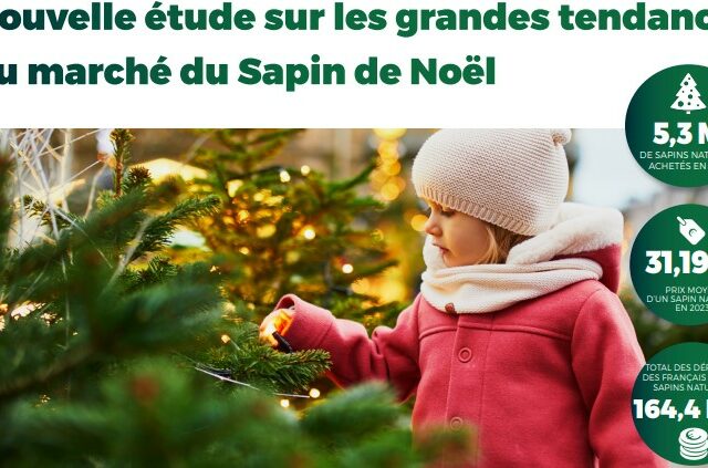 Les grandes tendances du marché du Sapin de Noël français 2024