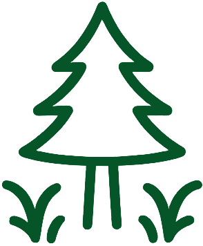 entretien sapin