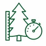 noel vert gestion durable des ressources