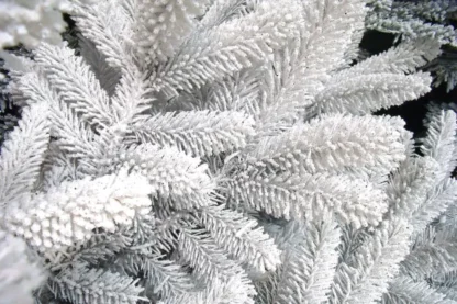 BRANCHES FLOQUEES SAPIN