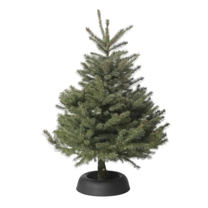 PUNGENS réserve eau Frescher Tree