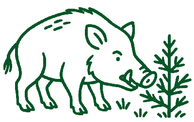 protection animaux sauvages