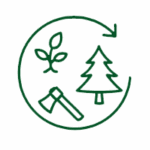 noel vert recolte de sapin responsable
