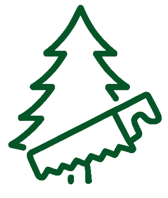 récolte sapins
