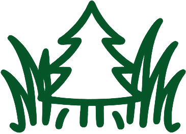 sapin envahi par les herbes
