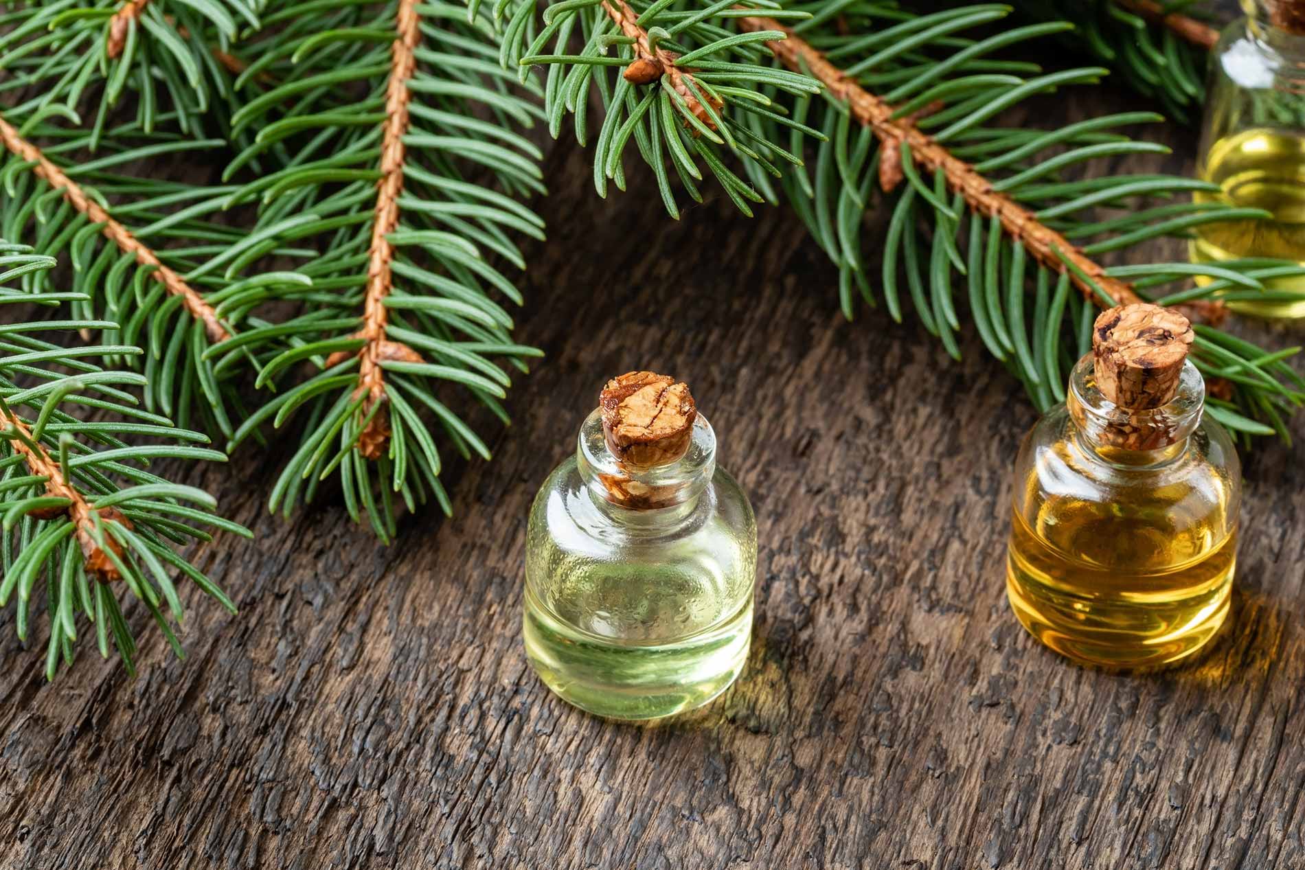 bienfaits odeur du sapin