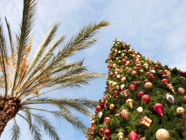 Noël sur la Côte d’Azur : un sapin sous les palmiers