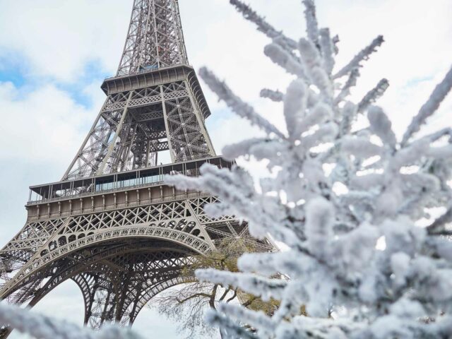 Noël à Paris : balades enchantées, vitrines scintillantes et traditions festives