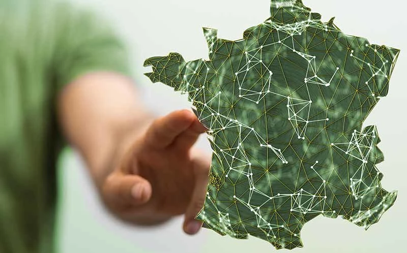 Vente B2B partout en France - NOEL VERT