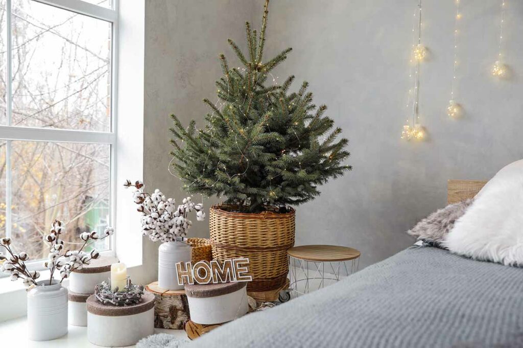 remettre sapin dehors après les fêtes