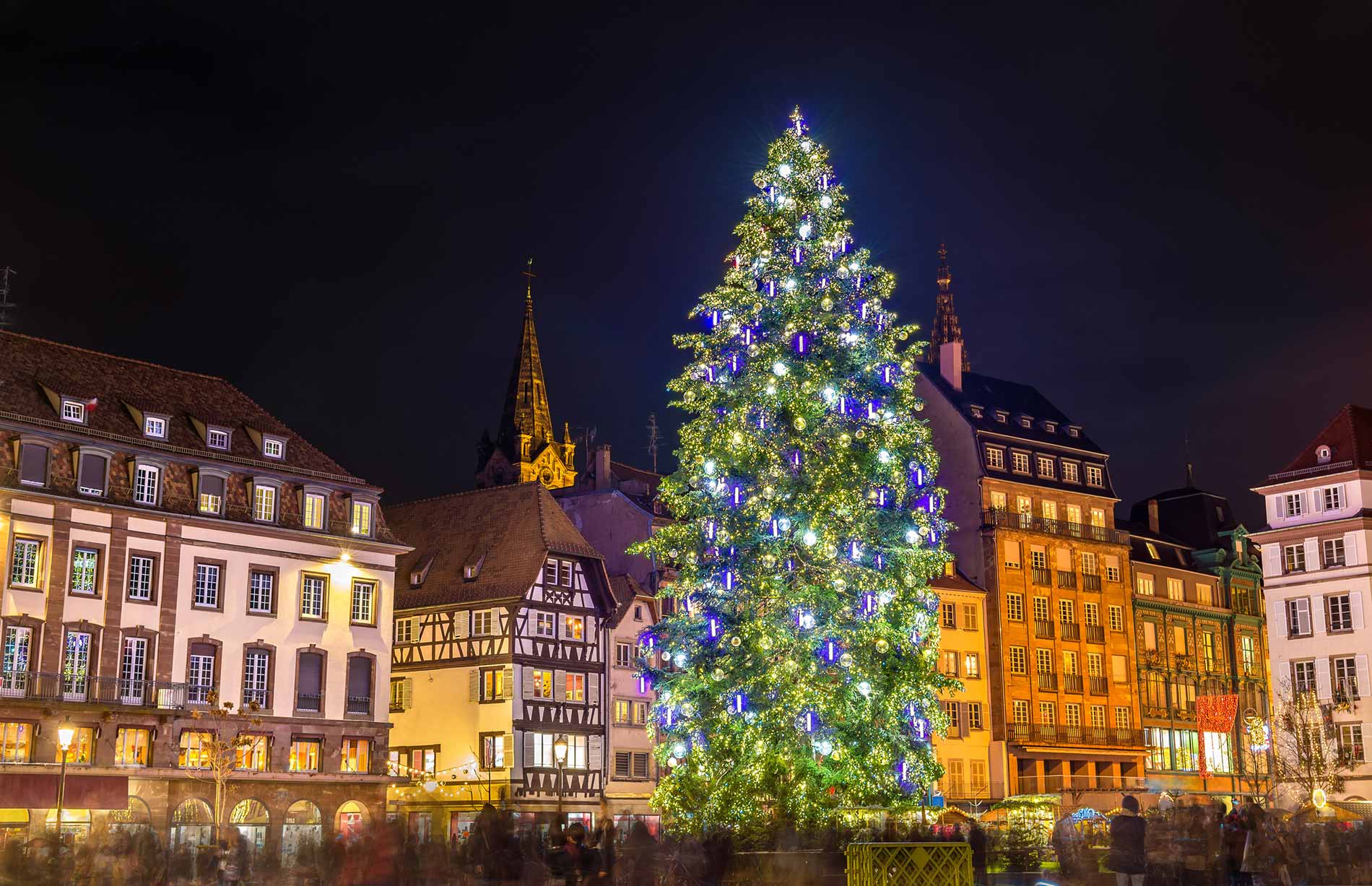 sapin de noel en Alsace