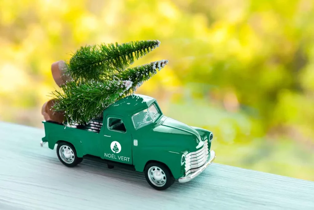 Livraison de sapin EXPRESS - NOEL VERT