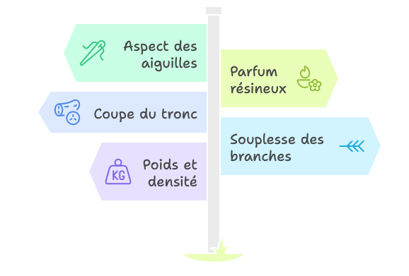 les 5 signes qui prouvent qu'un sapin est frais