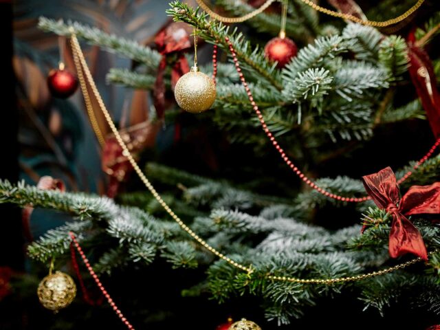 Quelle longueur de guirlandes choisir selon la taille de son sapin de Noël ?