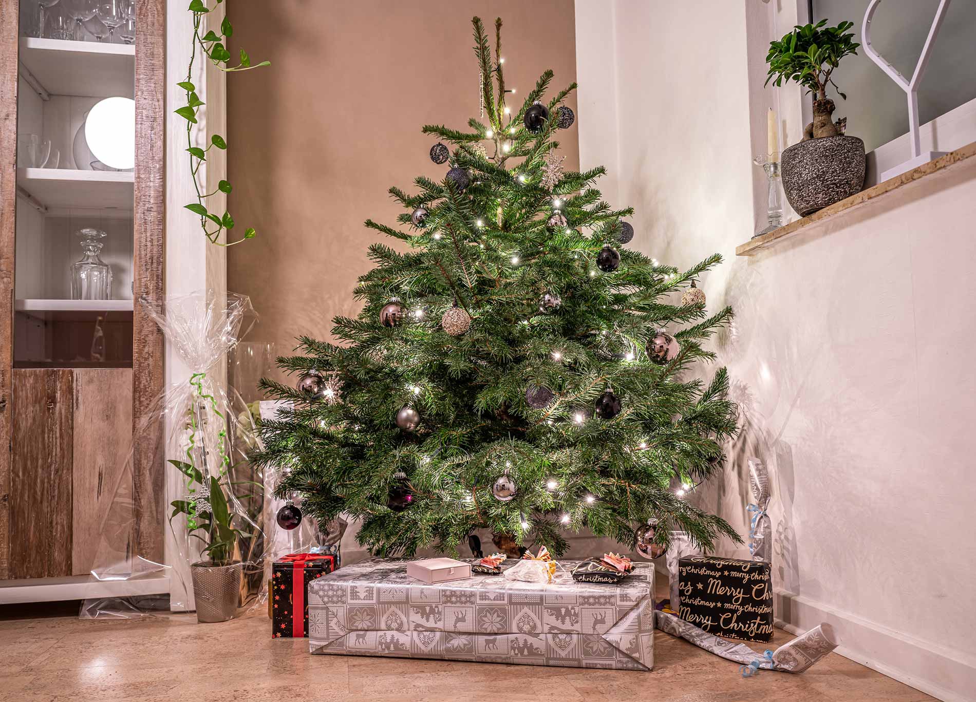 quelle taille de sapin choisir selon la hauteur de plafond