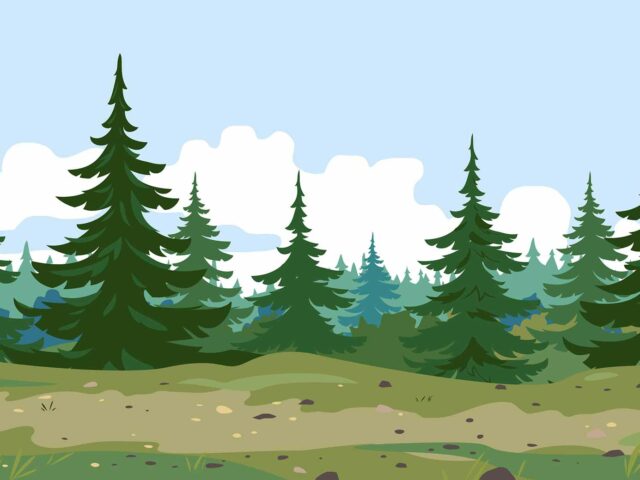 Impact économique et environnemental du sapin de Noël français : Chiffres 2024 VALHOR & AFSNN