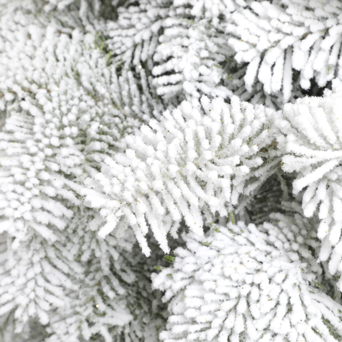 branches sapin floqué