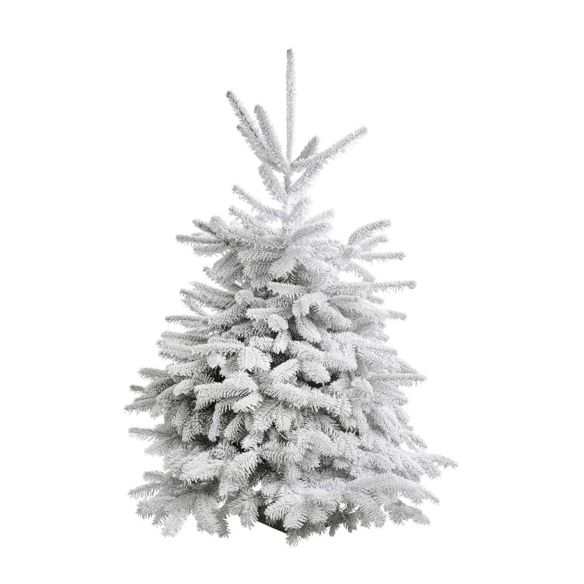 grand sapin nordmann floqué