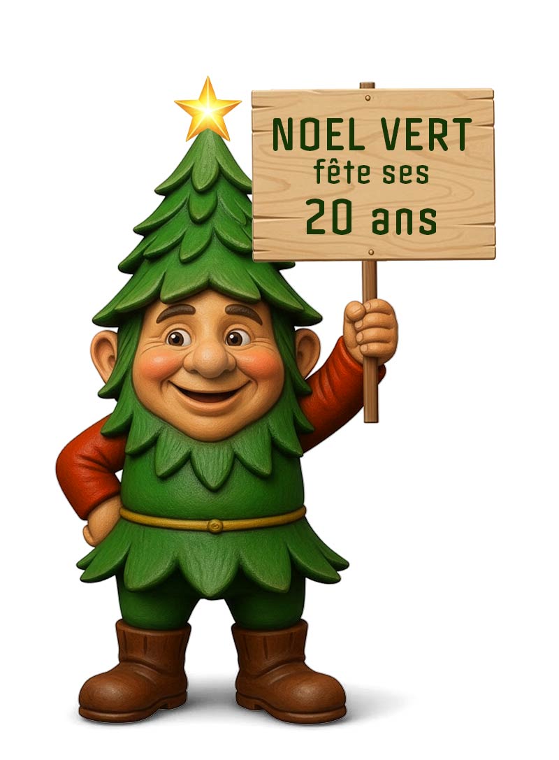 noel vert fete ses 20 ans